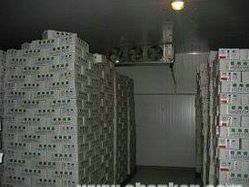 �t(y��)ˎ���(k��)1